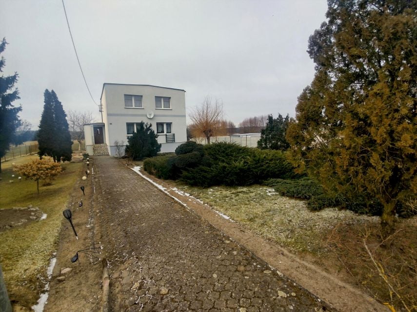 Zdjęcie 3