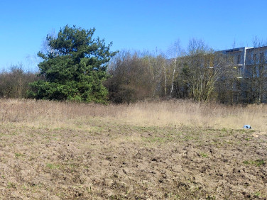 Działka budowlana Tarczyn