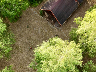 Działka rolna Zadębie