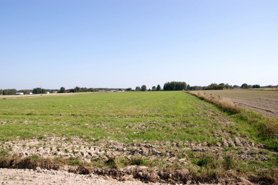 Działka rekreacyjna Krasne