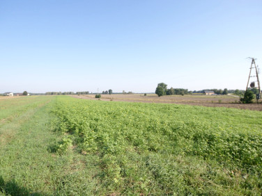 Działka Rudka Gołębska