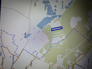 Działka leśna Brody