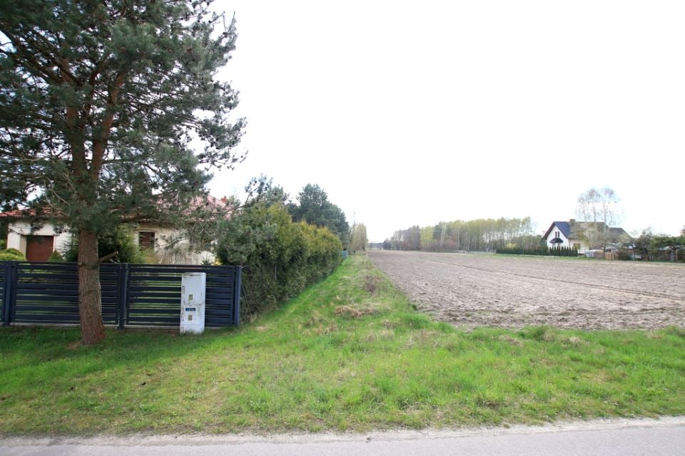 Zdjęcie 2