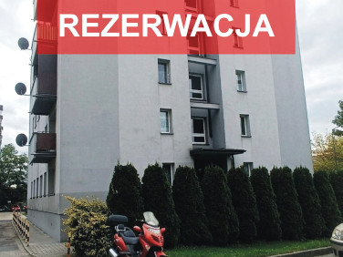 Mieszkanie przy lesie