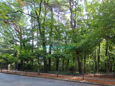 Działka budowlana Milanówek