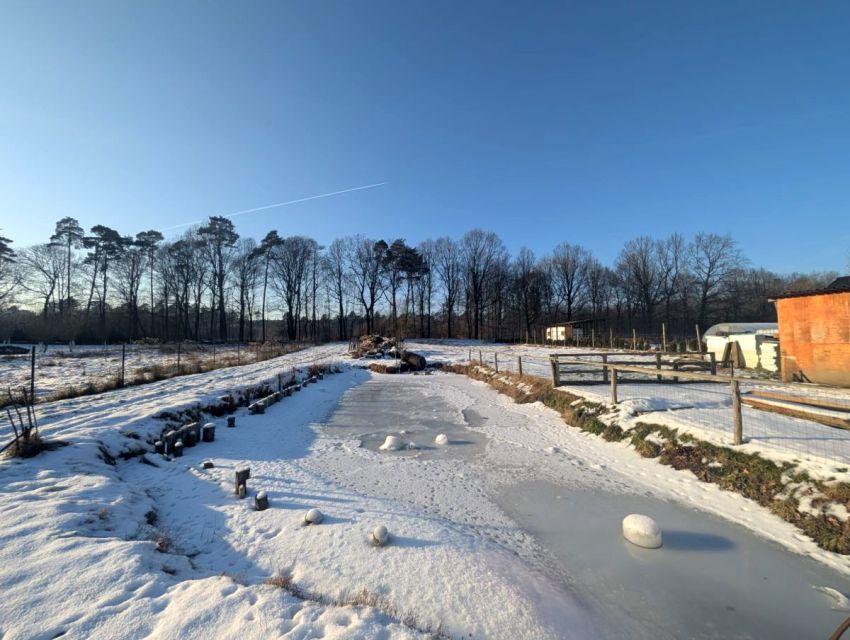 Działka inna Wałdowo Królewskie