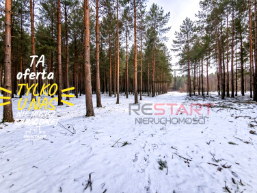 Działka budowlana Wężyk