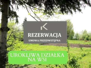 Działka Namysłów
