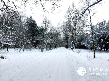 Działka budowlana Sokule