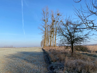 Działka rolna Sowno