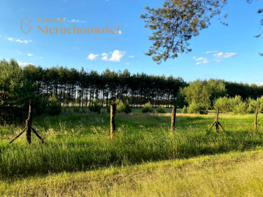 Działka Komorówko
