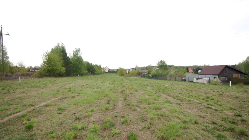 Zdjęcie 3