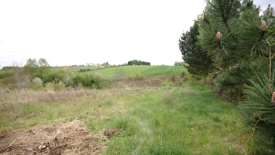 Działka rolna Jakubowice Konińskie