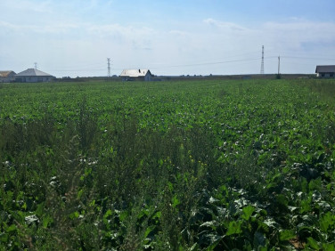 Działka budowlana Puchaczów sprzedam