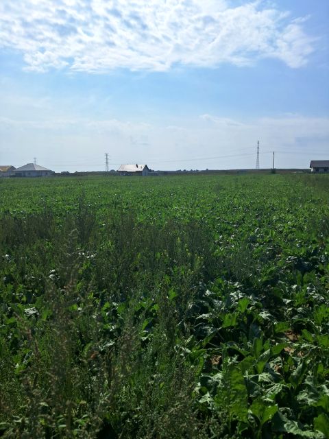 Działka budowlana Puchaczów sprzedam