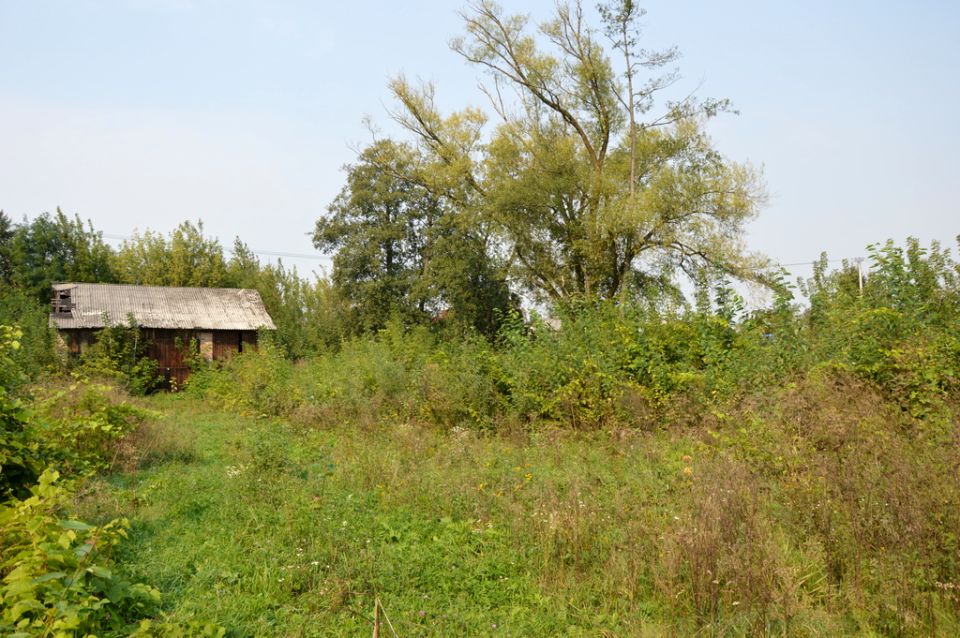 Zdjęcie 3