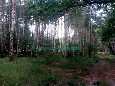 Działka budowlana Radonie