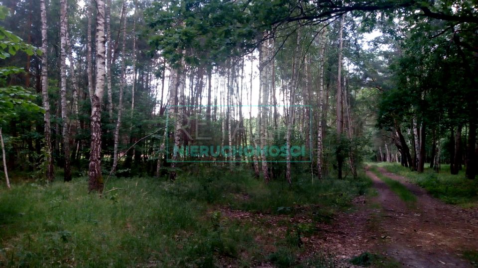 Działka budowlana Radonie