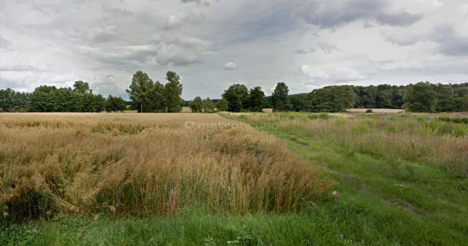 Działka siedliskowa Rybojedzko