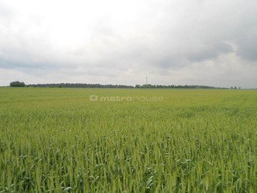 Działka rolna Drzonów