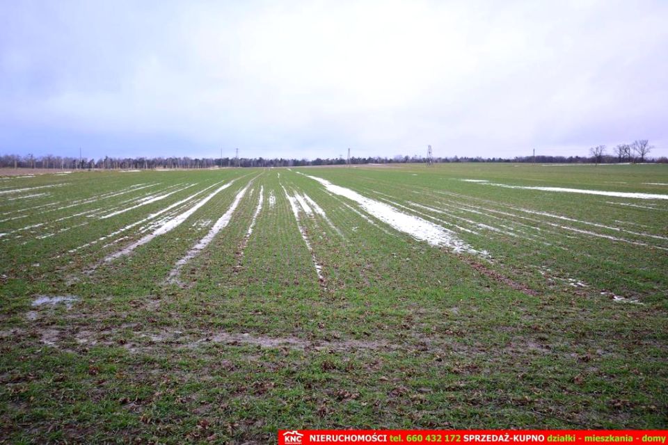 Działka budowlana Wierciszów