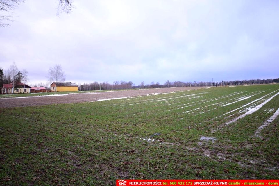 Zdjęcie 3