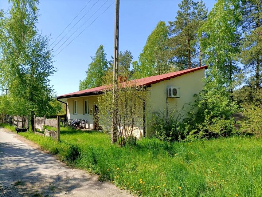 Zdjęcie 2