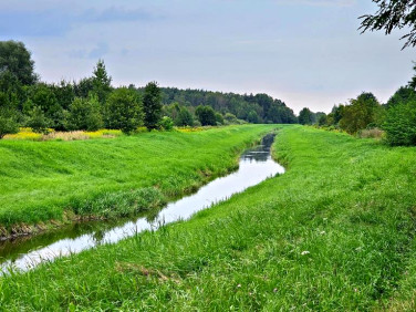 Działka rolna Dąbrowa