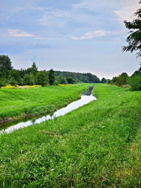 Działka rolna Dąbrowa