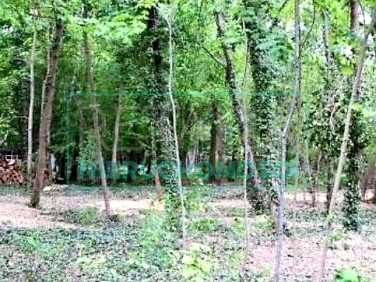 Działka budowlana Brwinów