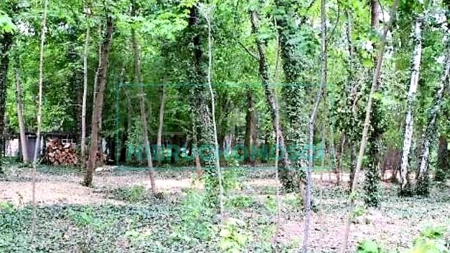 Działka budowlana Brwinów