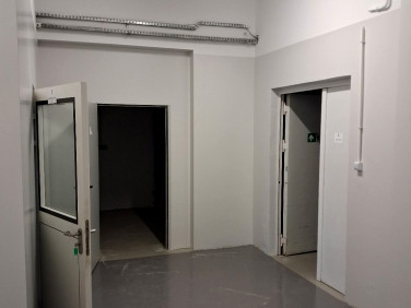 Lokal Warszawa wynajem