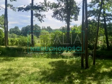 Działka budowlana Podkowa Leśna