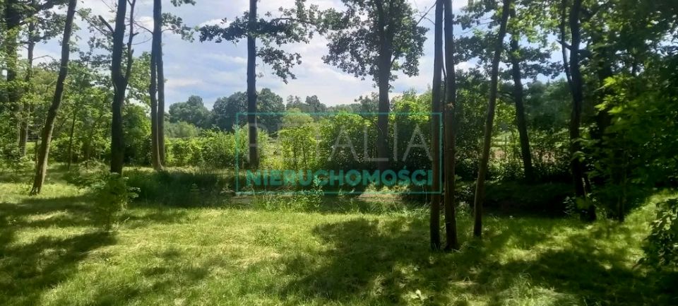 Działka budowlana Podkowa Leśna