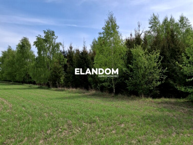 Działka leśna sprzedam