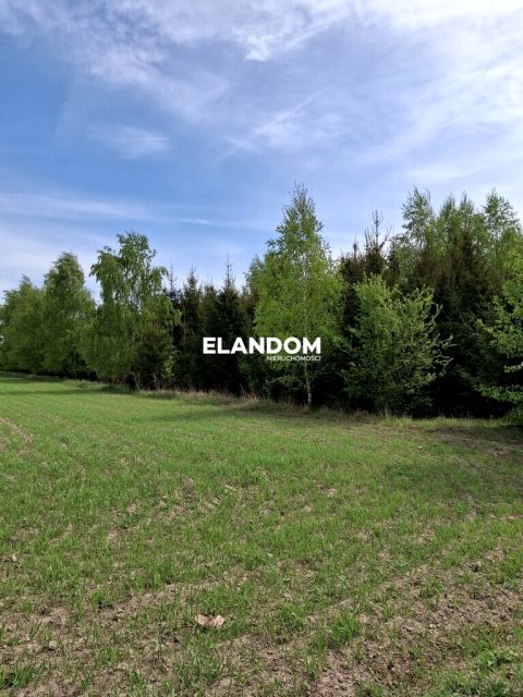 Działka leśna sprzedam