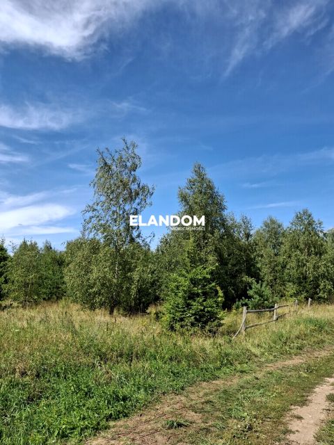 Działka leśna Stare Juchy