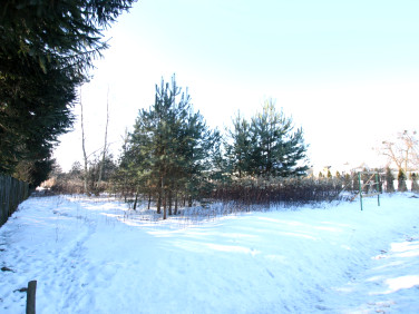 Działka budowlano-rolna Dąbrowa sprzedam