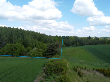 Działka rolna Chruszczów-Kolonia