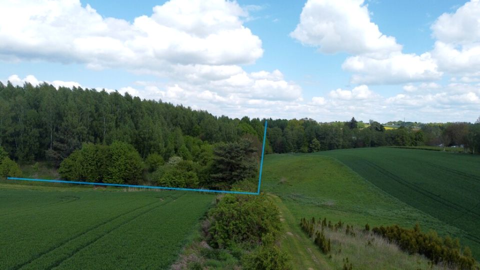 Działka rolna Chruszczów-Kolonia