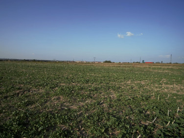 Działka budowlana Długie sprzedam