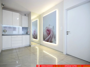 Lokal Lublin sprzedaż