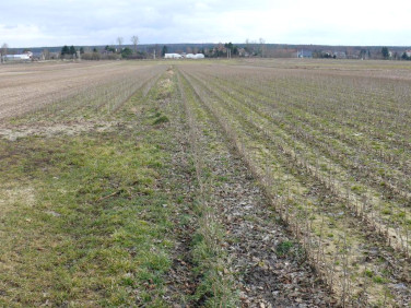 Działka budowlana Lublin sprzedam