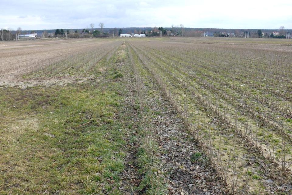 Działka budowlana Lublin sprzedam