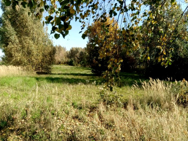 Działka budowlana Piotrowice sprzedam