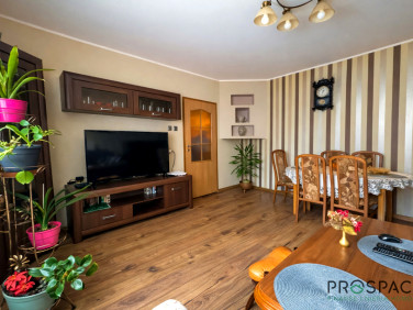 Mieszkanie Zielona Góra