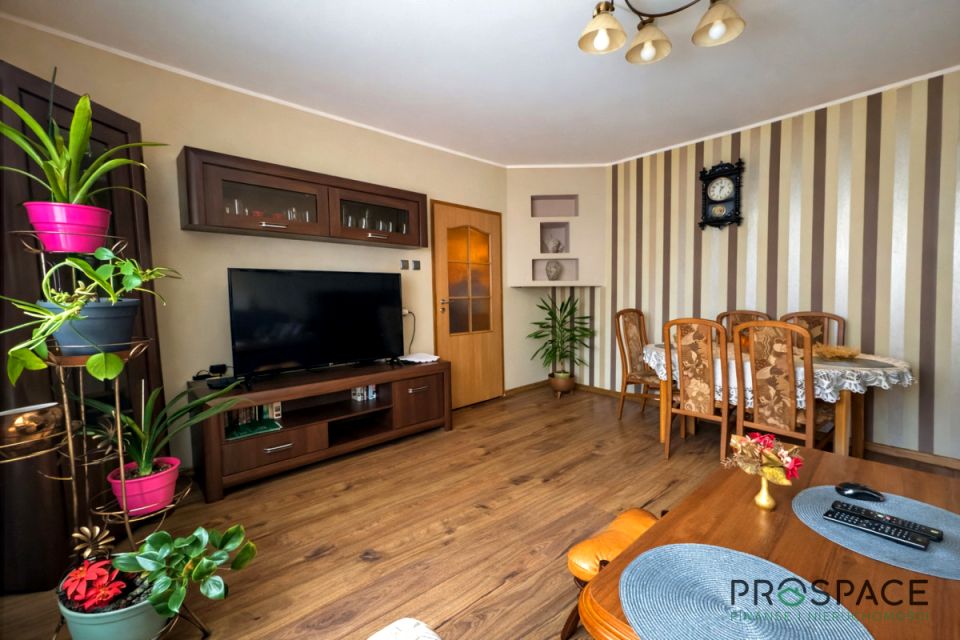 Mieszkanie Zielona Góra