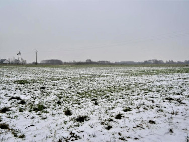 Działka przemysłowa Ludwin sprzedam