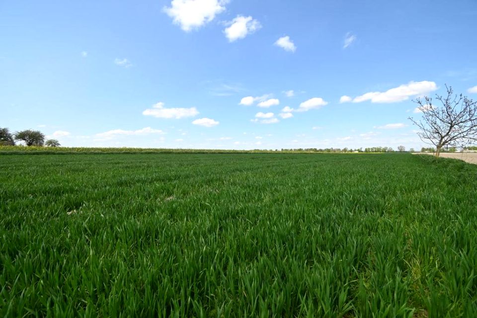Działka budowlana Podole sprzedam