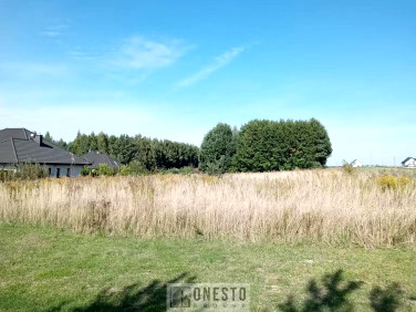 Zalesiona działka Podzamcze